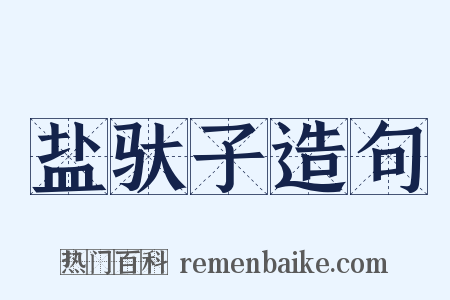 盐驮子造句是什么意思的图片